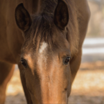 Image of Hole Contest Sponsor