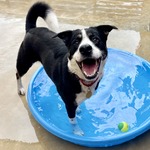 Image of Water Bottle Sponsor