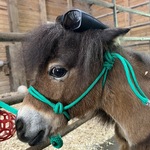 Image of Team Tee Buster Package