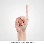 Image of 1 Raffle Ticket