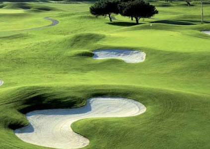 2026 Edmonton AMPP Golf Tournament - Default Image of Corporate Team Sponsorship