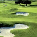 Image of Corporate Team Sponsorship