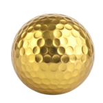 Image of Gold Sponsor