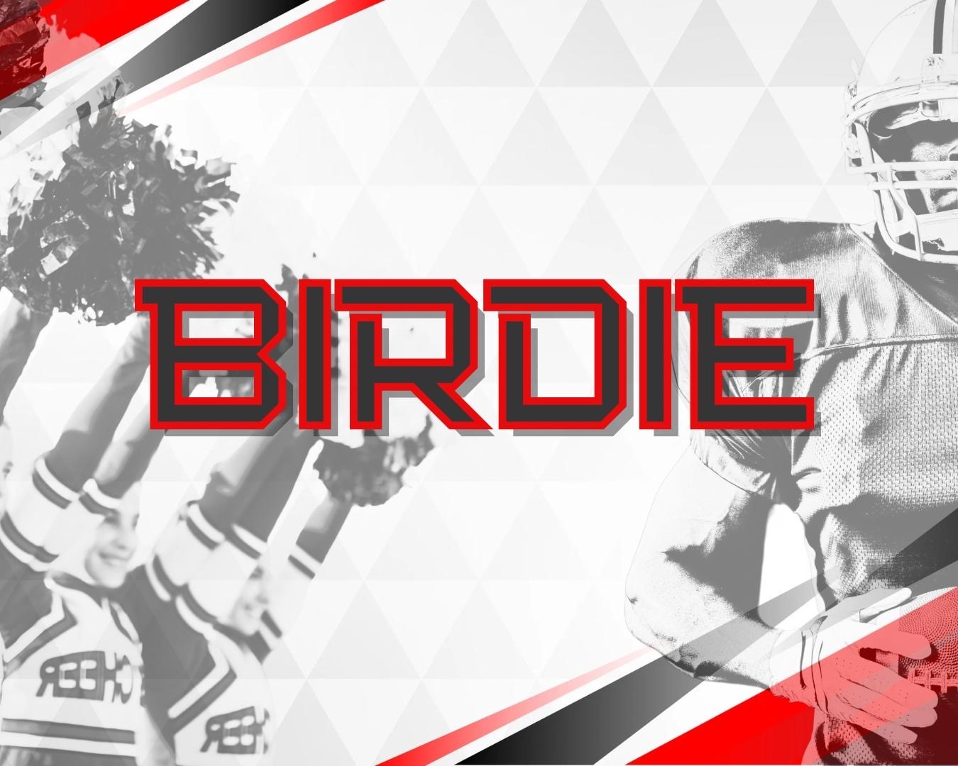 Derry Demons Annual Charity Golf Tournament 2026 - Default Image of ★ BIRDIE