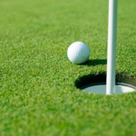 Image of Hole Sponsor