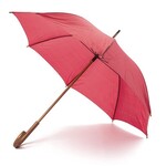 Image of Umbrella Sponsor