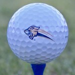 Image of BALL SPONSOR