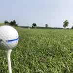 Image of Platinum Sponsor