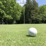 Image of Gold Sponsor