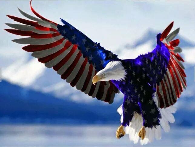 LD3's 3rd Annual Golf Tournament - Default Image of Arizona Patriot Sponsor