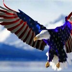 Image of Arizona Patriot Sponsor