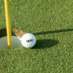 Image of Putting Contest