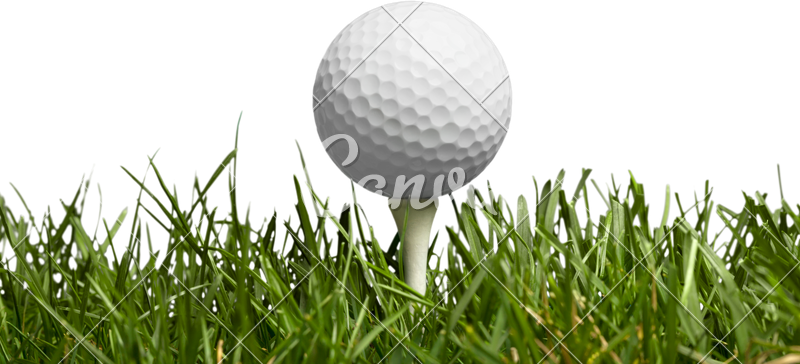 The BLF Golf Outing - Default Image of Hole Sponsor