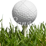 Image of Hole Sponsor