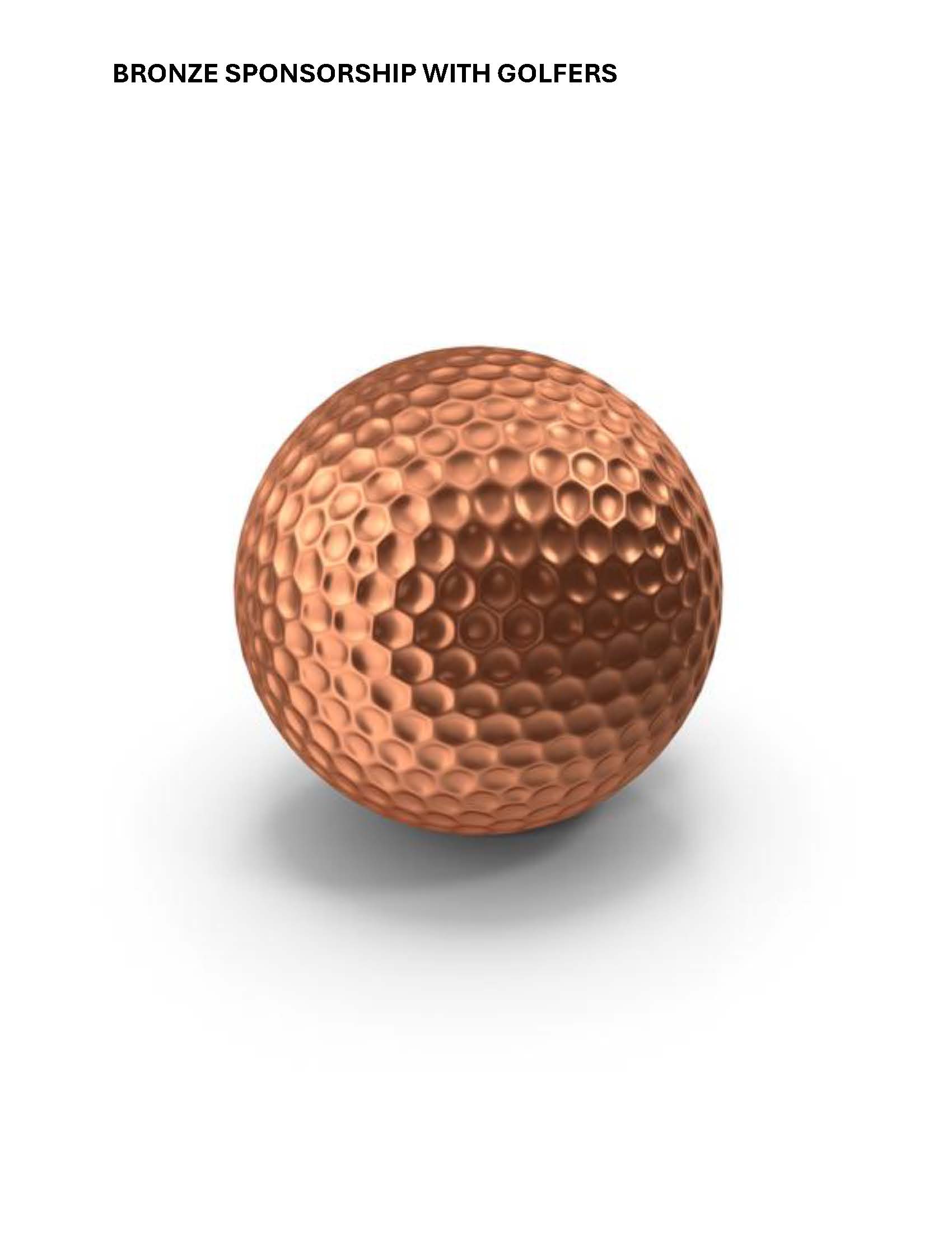 25th Annual AEEF Golf Outing - Default Image of Corporate Bronze Package W/ Golfers