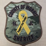 Image of Military Patch