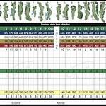 Image of Score Card Sponsor