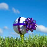 Image of Golfer Gift Sponsor