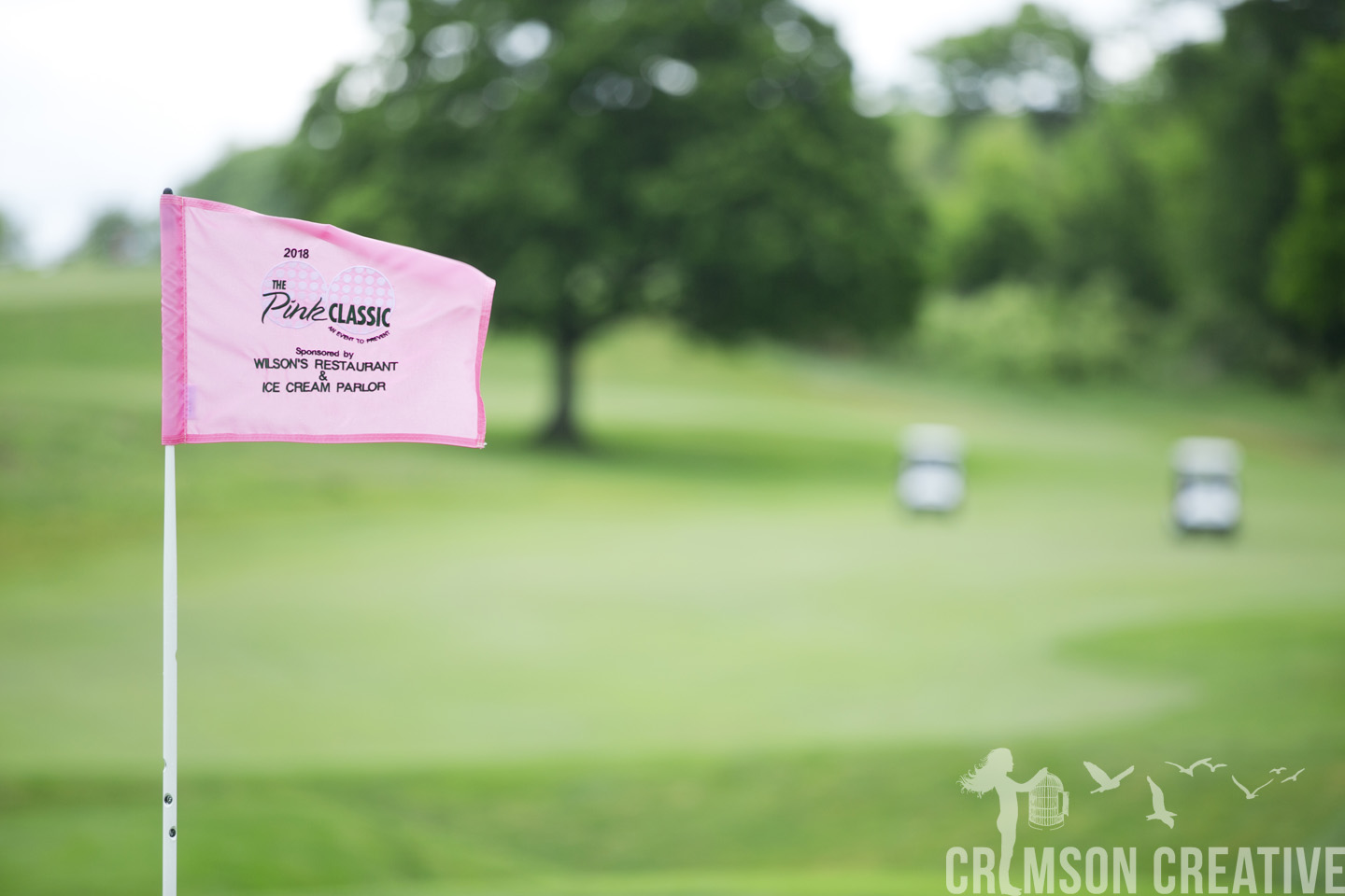 Sue Baldwin Fund Pink Classic 2026 - Default Image of Hole Sponsor