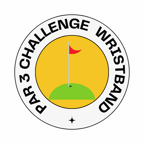 Image of HOLE CHALLENGE  WRISTBAND