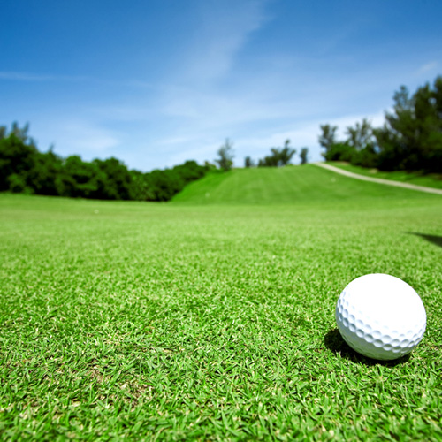 Image of Golf Ball