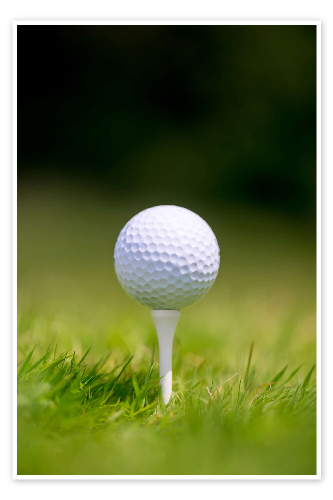 Golfing Fore Good - Default Image of Golf Ball Sponsor