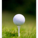Image of Golf Ball Sponsor