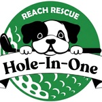 Image of Hole-In-One