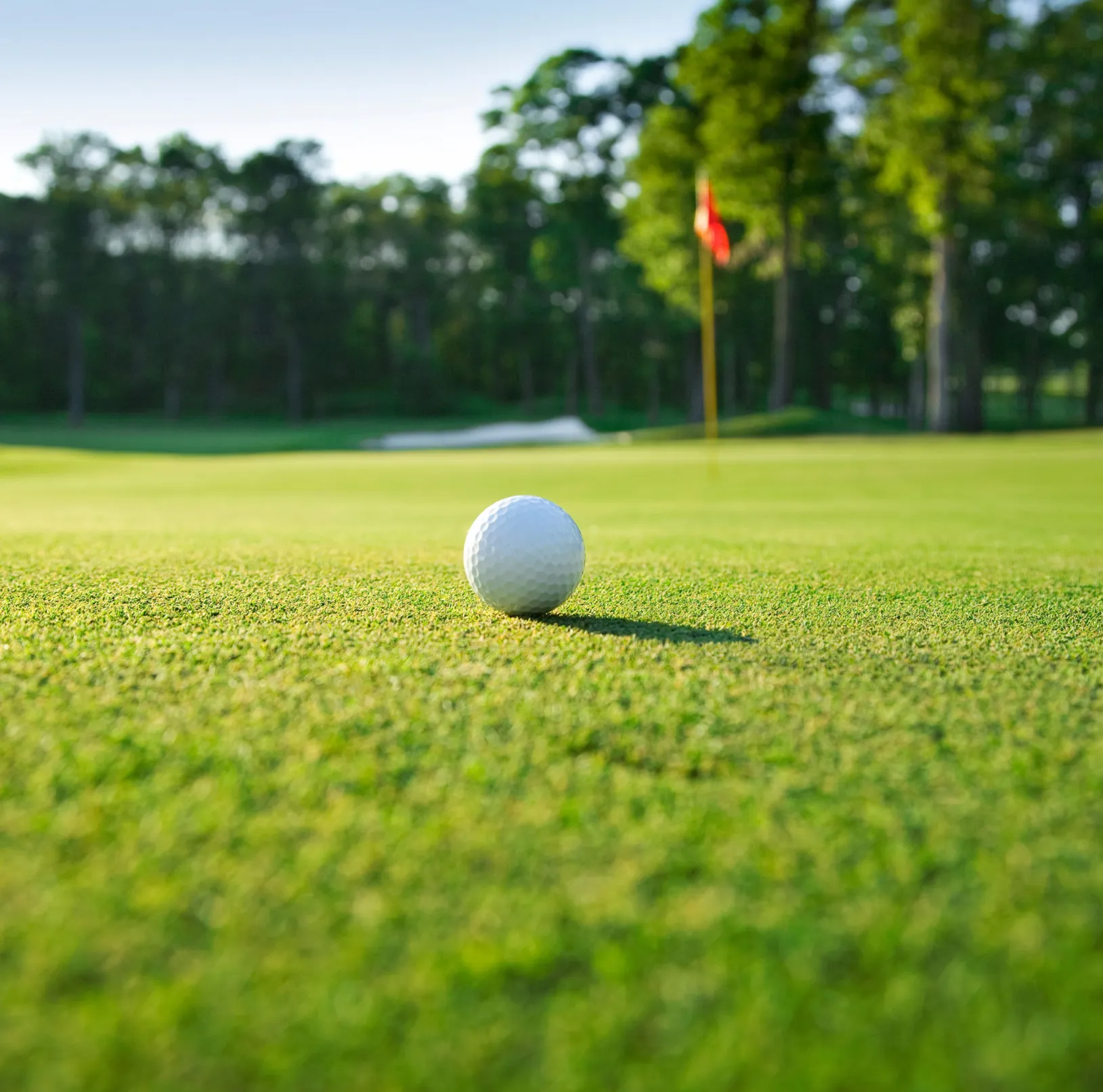 Annual Golf Tournament - Default Image of Hole Sponsorship / Commanditaire de trou 