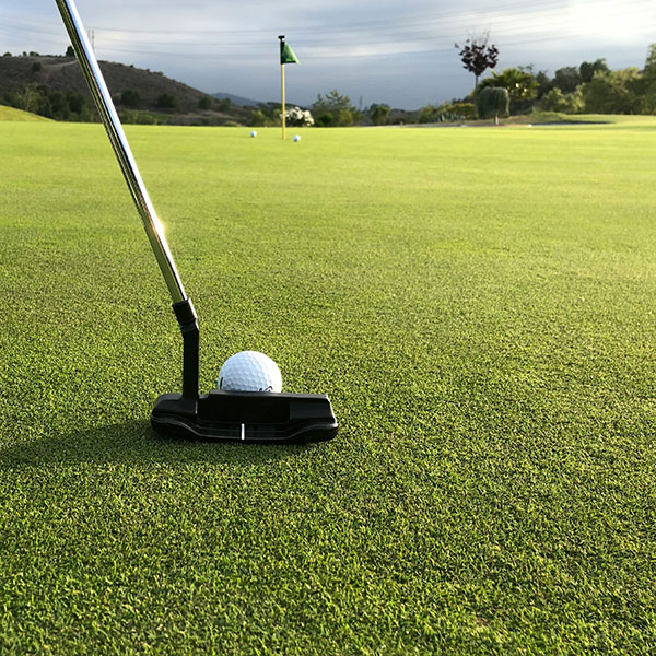 Image of Putting Green/Driving Range
