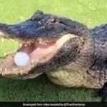 Image of Mulligans 4 Pack