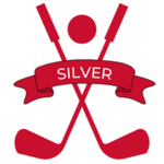 Image of Silver Corporate Sponsor