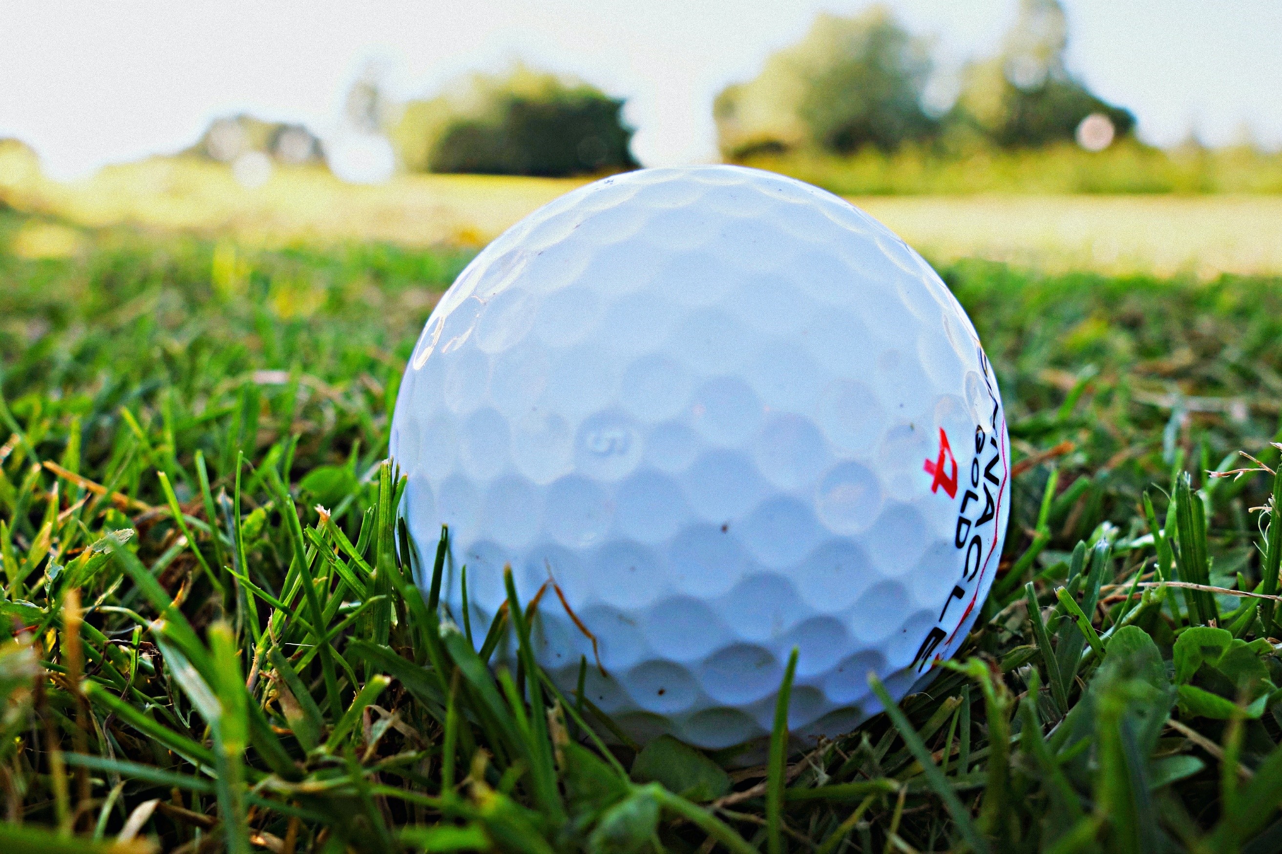 Carthage Elks 33rd Annual Charity Golf Tournament - Default Image of Contest Sponsor