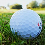 Image of Contest Sponsor
