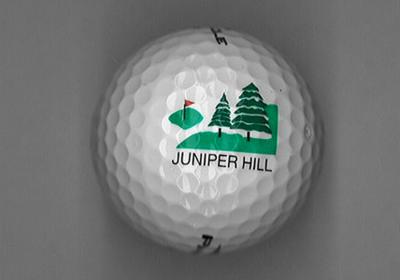 32nd Teddy Bear Classic - Default Image of Mulligan