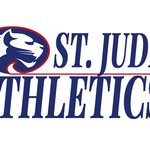 Image of Sports Enthusiast