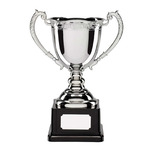 Image of Platinum Sponsor
