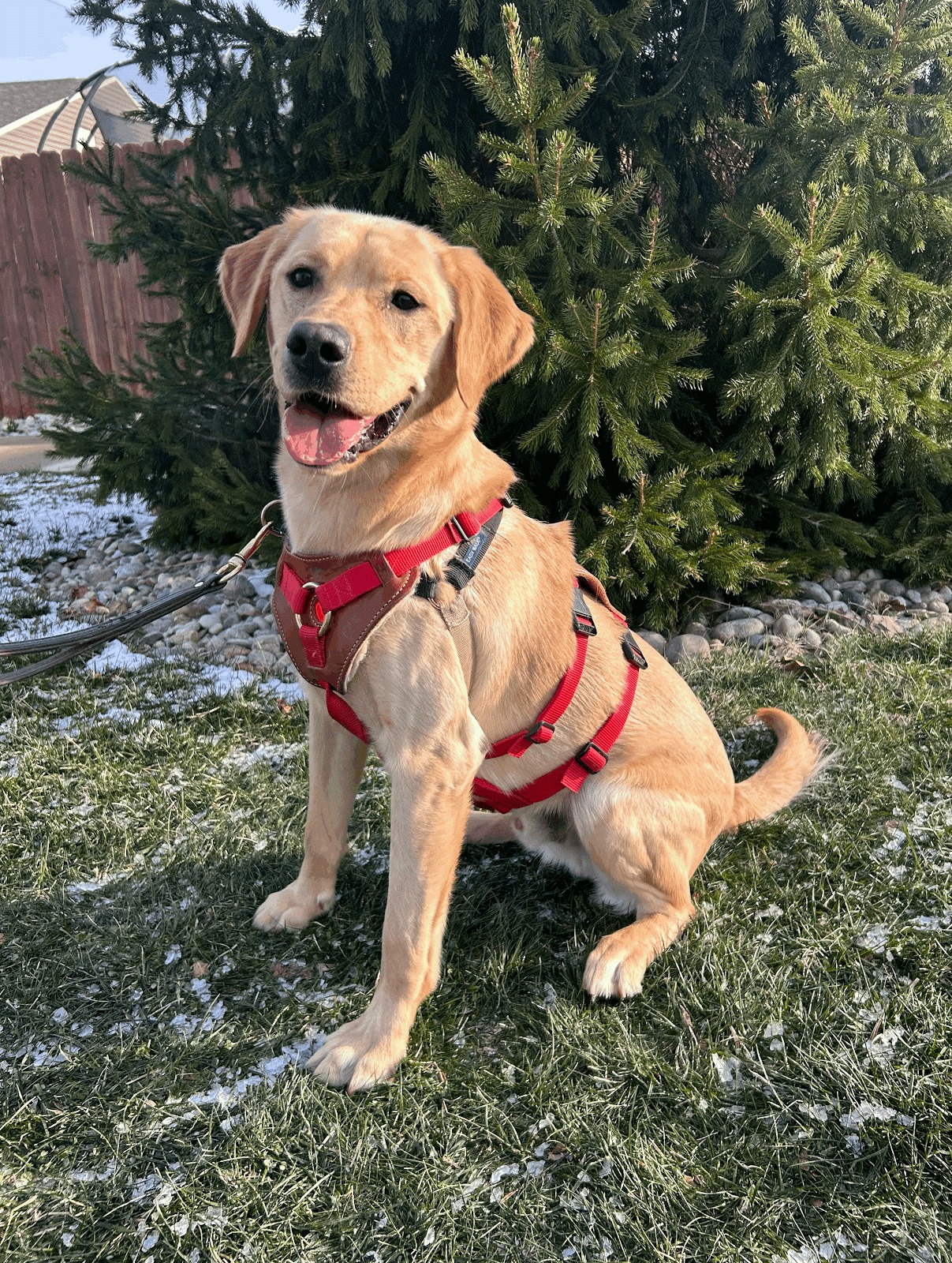 10th Annual Brandon Bark Memorial Golf Outing and Fundraiser - Default Image of Presenting Sponsor