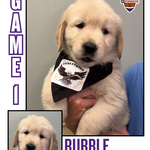 Image of Front 9 Sponsor