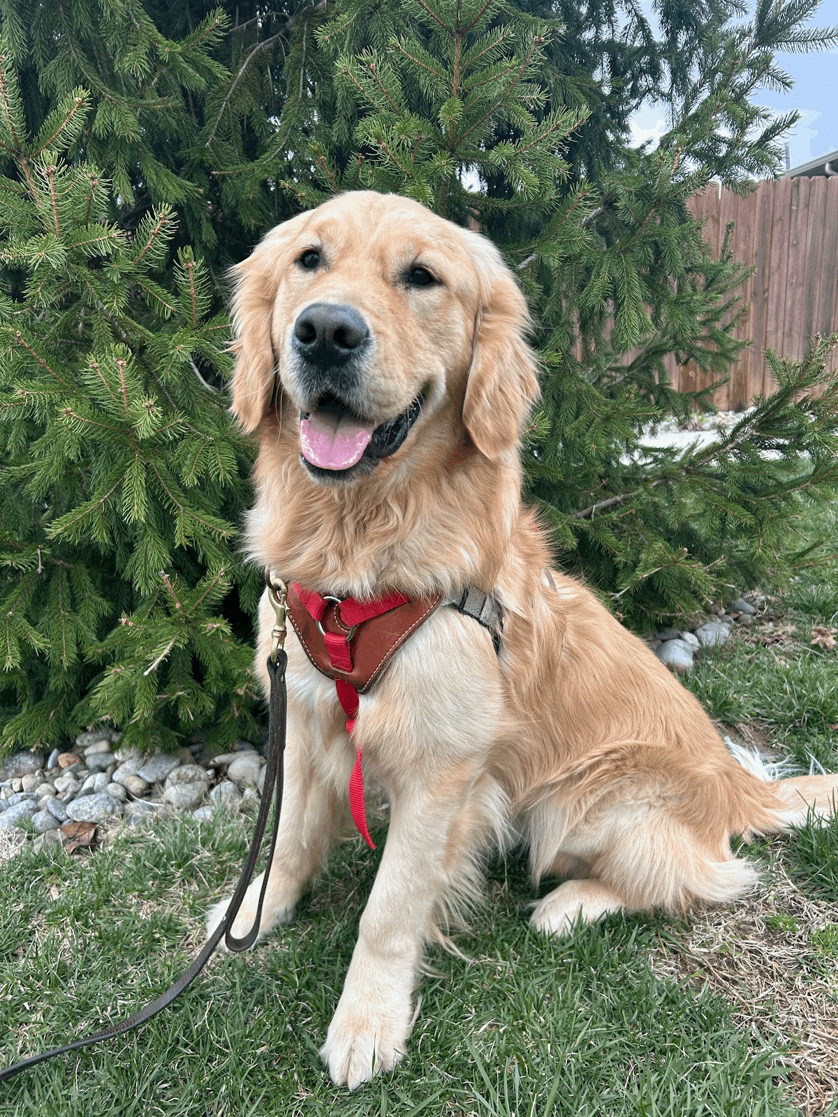 10th Annual Brandon Bark Memorial Golf Outing and Fundraiser - Default Image of Back 9 Sponsor