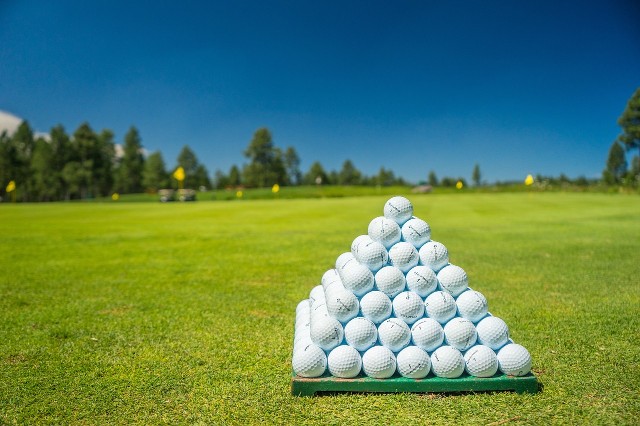 Calgary Stampede Foundation Divot Classic 2026 - Default Image of Mulligans - 10 pack
