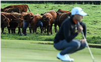 25th Annual Zeta Sigma Foundation Golf Tournament - Image of Guest Steak dinner Purchase