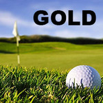 Image of Gold Sponsor