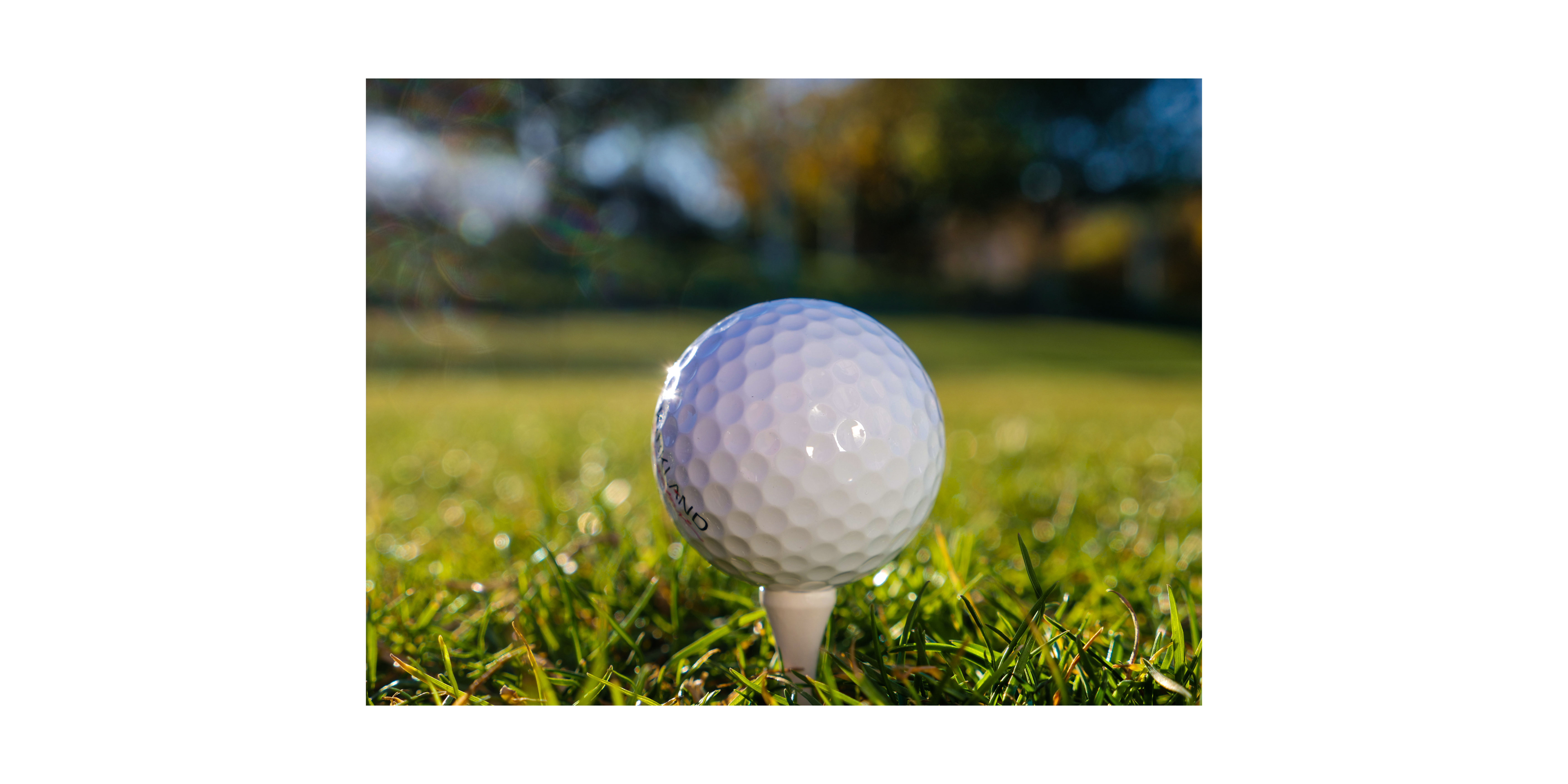 Longmont Elks 1055 Thomas Larson Bodnacrczuk Memorial Fund @ Grace Commons Foundation - Default Image of Hole Sponsor