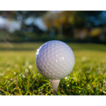 Image of Hole Sponsor