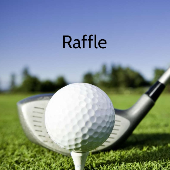Blackhall Gaels 2026 - Default Image of Single Raffle Ticket