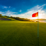 Image of Pin Flag Sponsor