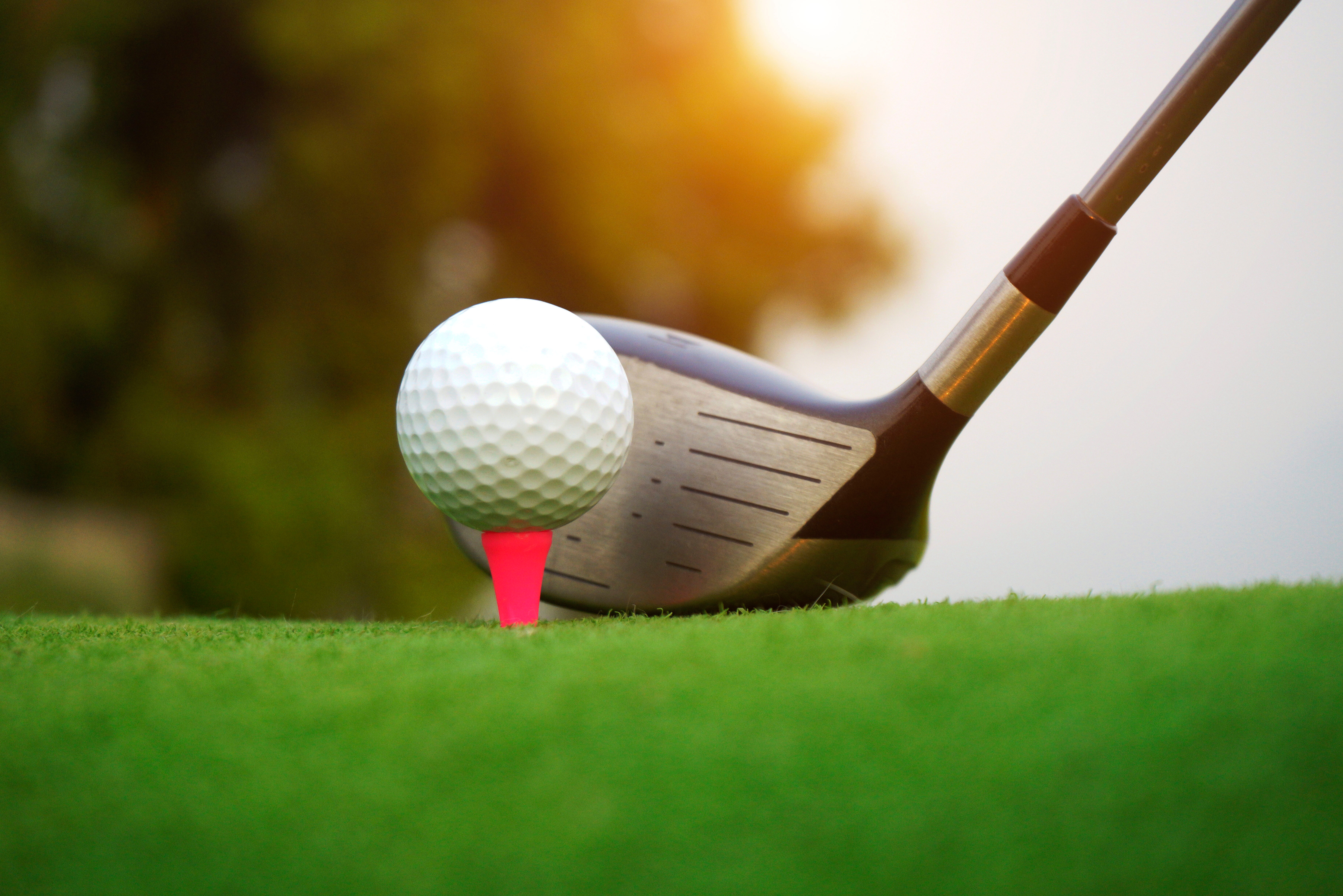 22nd Annual DSE Golf Tournament Fundraiser - Default Image of Tee Sign Sponsor