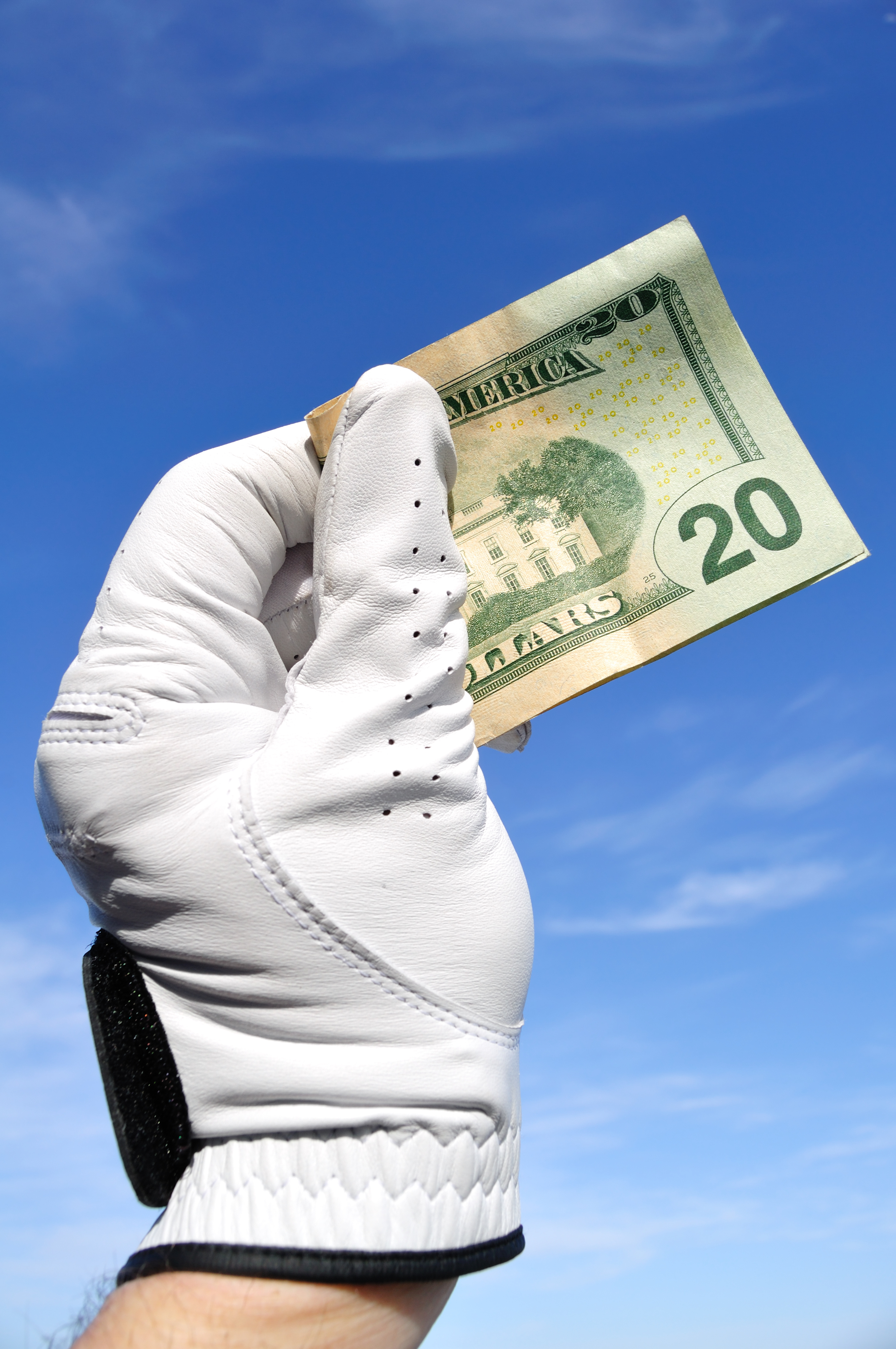 22nd Annual DSE Golf Tournament Fundraiser - Default Image of Donation $20