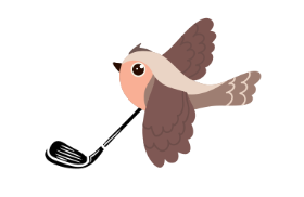 Image of Birdie Package